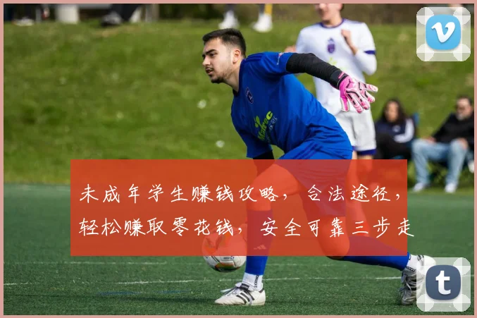 未成年学生赚钱攻略,合法途径,轻松赚取零花钱,安全可靠三步走,轻松实现